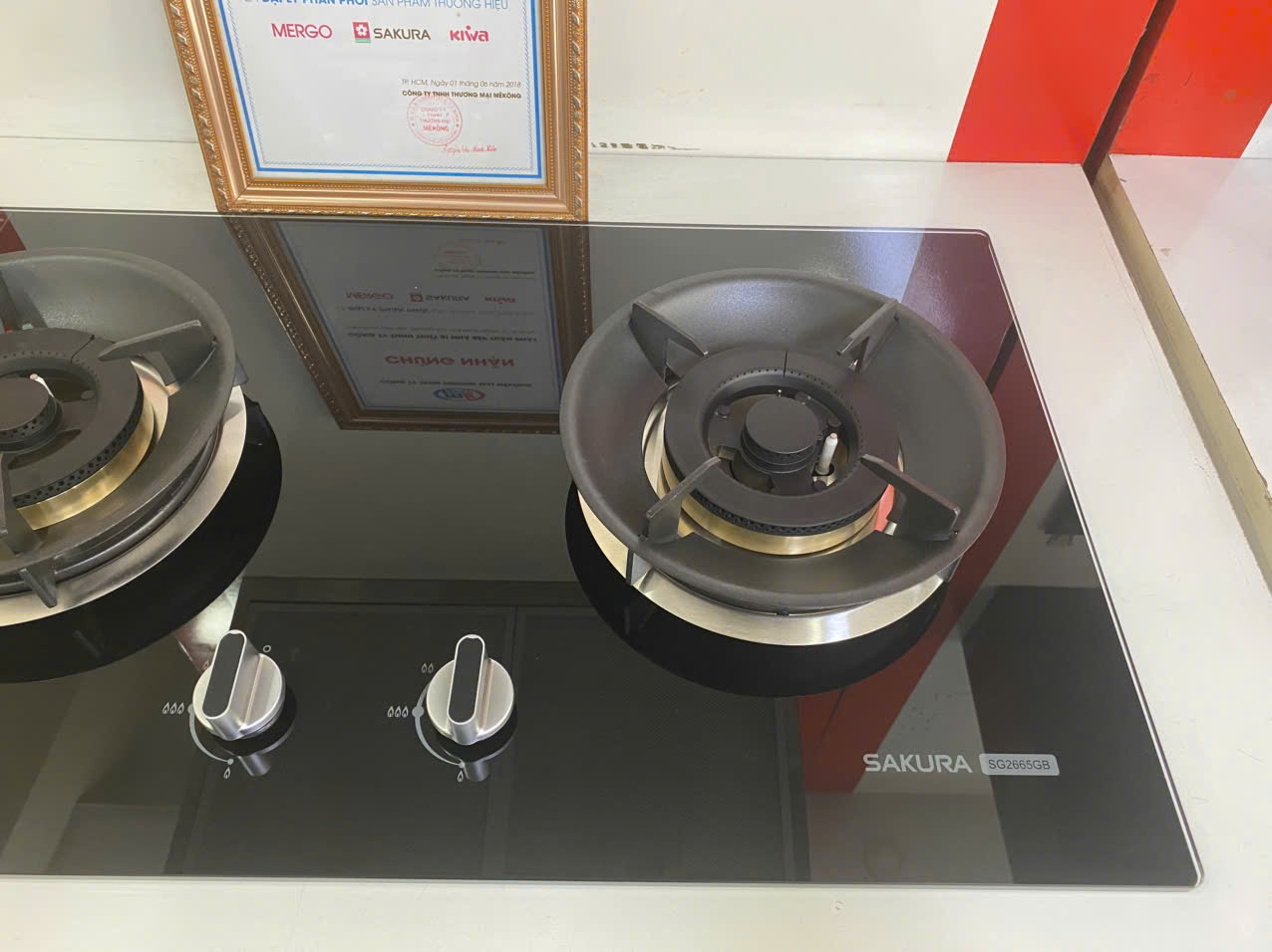 z7569070214262_4c4ed5d59701f91028c2bde363d20e34